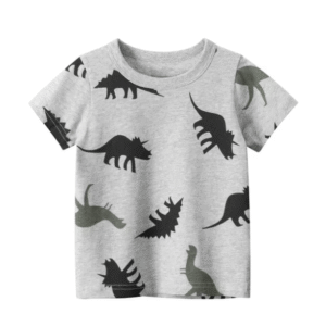 Boys T-shirt dinosaurs age 5-6