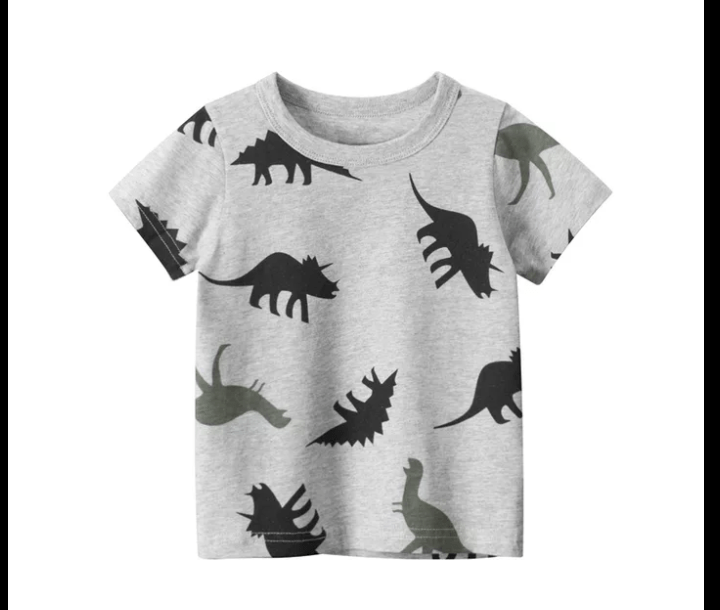 Boys T-shirt dinosaurs age 5-6