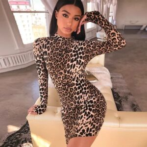 New Style Leopard Long sleeve Mini dress XS-M