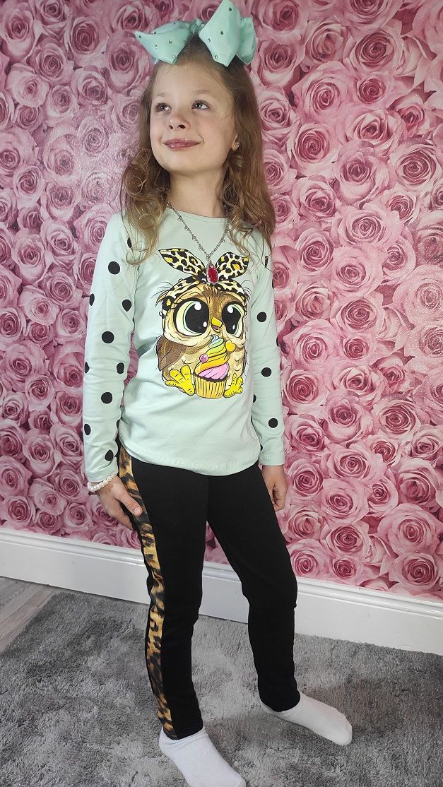 Long-sleeved sweatshirt owl + leggins age 6-8