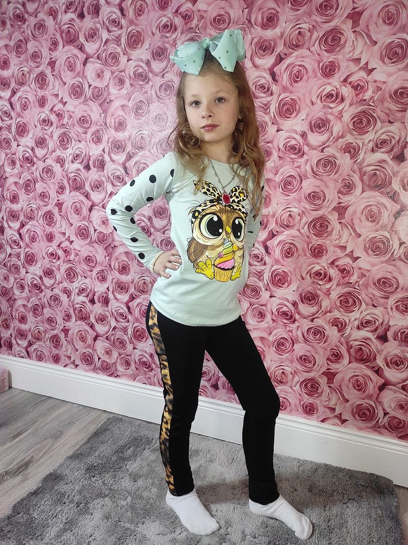 Long-sleeved sweatshirt owl + leggins age 6-8 - Image 2