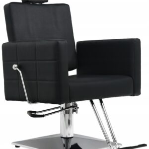 Hydraulic barber chair for the hairdressing salon delivery 2-3weeks