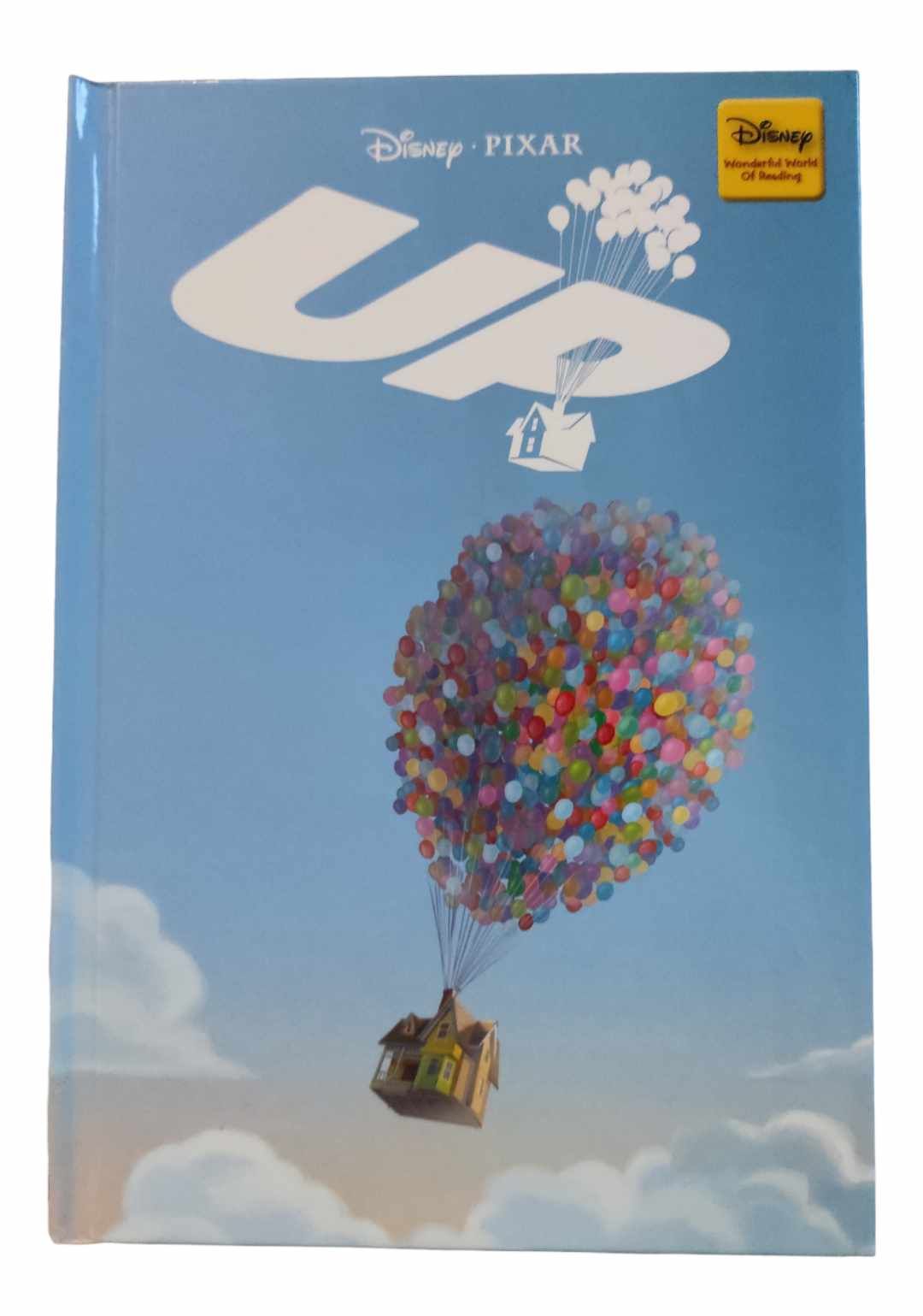 Disney book UP NEW