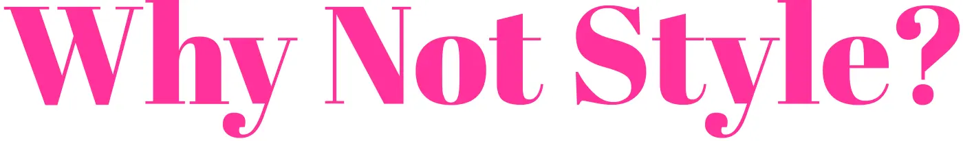 logo whynotstyle 2024