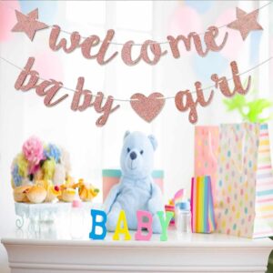 Decoración de fiesta de revelación de género Bienvenida niña